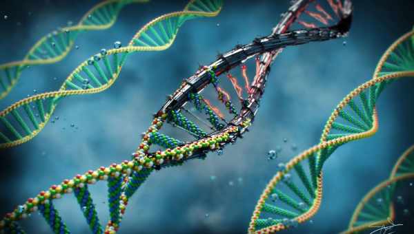 Квантовое туннелирование может вызвать случайные мутации ДНК