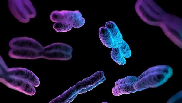 Геномная «пыль» оказалась крошечными хромосомами от древних предков