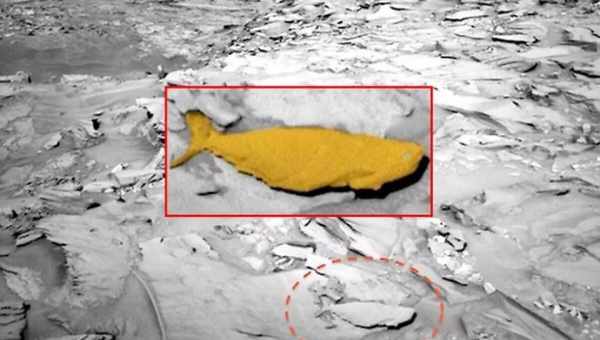 НАСА находит новые доказательства жизни на Марсе